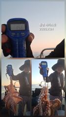 출조안내 - 9월6일 인천남항 테슬란호 주꾸미조황입니다~~^^ 사진