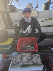 조황정보 - 오천항금땡이호 9월6일 쭈꾸미&갑오징어 조황 - 오천항 금땡이호,배낚시,낚시배 전문 사진