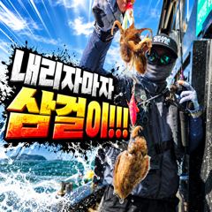 [팀바이트호] 9월6일 주꾸미낚시 사진