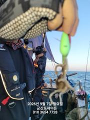 7일, 군산쭈꾸미 좋아요~제법 싸이즈 좋은 쭈꾸미가 나와요~실시간~내일 주간문어갑니다~~오전/오후반~군산 포세이돈호