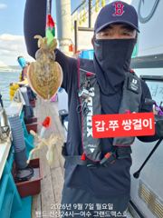 오늘도 달리는중입니다~~~어제에이어 더블 쌍쌍걸이도 나와주고~~~~~내일자리널널 사진