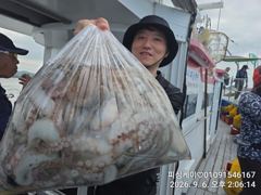 삼천포 돌문어 가을시즌 마릿수 씨알 좋습니다! 사진