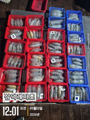 [통영] [팁런]똥바람통,무늬,"퍽퍽"(화요일,출항확정,자리널널)