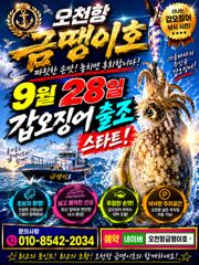 오늘의 조황 - 오천항금땡이호 9월7일 쭈꾸미 갑오징어 조황 - 오천항 프랜드피싱 사진