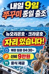 레인보우호 쭈꾸미 실시간 조황(8일)-내일종일자리있음 사진