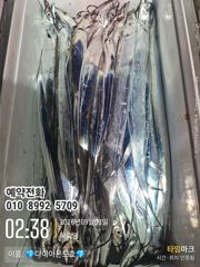 [진해] 점점굵어지는 내만갈치! 오늘예약가능합니다! 사진
