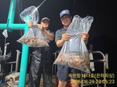 28분전 [마산] [바다마을호] 감성돔 조황(9/8)