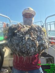 [군산] [군산비응항 낚시사냥꾼 에이스호] 8일 쭈구미~~~드~~뎌 망테… 사진
