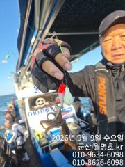 9일, 군산쭈꾸미~오늘도 시작~점점 좋아지는 조황~오전/오후반~군산낚시프라자 월명호 사진