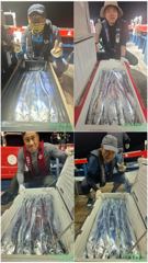 갈치한치조황++ - 백도권!! 풍성한 갈치로 쿨러가득!!