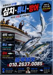 (東)동해조황 - 대삼치 빅게임 피크시즌 돌입!!(금,토,일,월~모집)