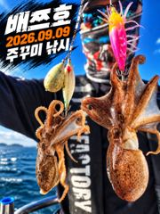 오늘의조황 - [배쯔호] 9월9일 주꾸미낚시 - 마검포 팀바이트호,선상낚시 전문 사진