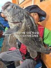 9일,날마다 쏟아지는 대광어~참돔,우럭등~오늘도 시작 굿~실시간… 사진