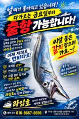 출조안내 - 8일 쭈꾸미 조황 ~~ 내일 갑오징어 출조 ~~