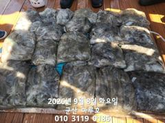 출조안내 - 녹동금강호16석갈치14일15일쭉예약중.예약순자리지정예약제 010-4058-2266 사진