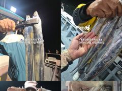 내만갈치 많타~많아~3지까지 입질 폭발~~예약가능