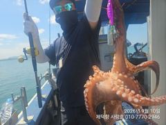 "여밭돌문어" 강풍에 1500g800g700g외 덩치들과~개인11수10수10수8수외,,,(내일 1자리 예약가능) 사진