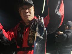 내만갈치 오늘도 초!대박! 퍼담았습니다~!! (일요일예약가능) 사진