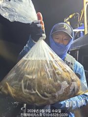 [진해] 문어] 일요일 야간(오후4시~11시) 예약가능~ 일요일도 고고 사진