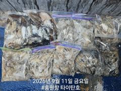 [쭈갑조황] [홍원항타이탄호] 9월11일(금) 사릿물때 우려와 달리 갑쭈 잘잡고 왔습니다. 사진