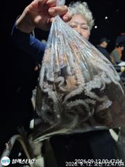 [사천] 원도권 야문 대박조황~ 오늘 5자리여유 사진