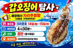 <발키리호> 오전 쭈꾸미 조황입니다.(12일) 사진