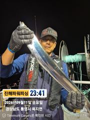 [진해] [갈치/텐빈/텐야]긴휴식끝!!~2.5~3지오버까지 쿨러조황[월.… 사진