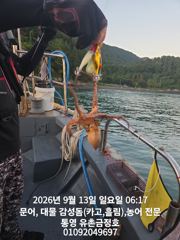 통영 금정호 문어선상 마릿수 시작합니다 내일오후 자리있어요