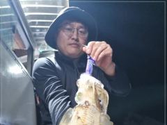 1   [통영] 무늬 마리수조황~ 오늘 17시 출항확정~ 1