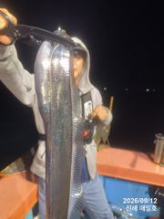 [13일,준내만갈치]씨알미쳤네요!! 4지5지 뚱보갈치들 많이잡고~!!! 월/화 예약가능합니다! 사진