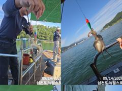 쭈꾸미 실시간 삼천포 뉴펄스호 사진