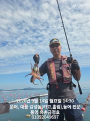 [통영] 통영 금정호 오후문어선상 마릿수 손맛 시작합니다 내일오전 자리있… 사진
