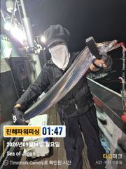 [진해] [갈치/텐빈/텐야]14일입항!! 2.5~4지까지 쿨러가득담고[화…