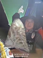 9월 15일 야간 돌문어 대박조황!! 오늘 야간에도 출조 확정!! 사진