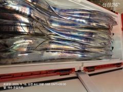9월15일여수은갈치호 백도권왕갈치 대박조항 사진