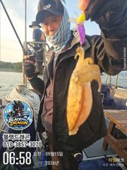 [사천] 아직은 시작이지만… 갑오징어 분위기 올라옵니다(내일 출조 확정) 사진