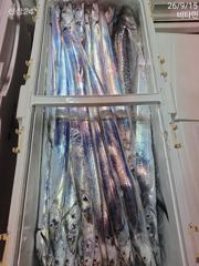 먼바다갈치 오늘도 출동~ 예약가능 사진