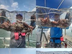 문어,키로,중치들,130수,왕창,,(예약가능)