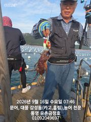 통영 금정호 오전문어 시작부터 손맛 재미납니다 내일 자리여유있습니다 사진