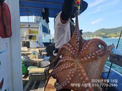 "여밭돌문어"오늘도 1500g부터 170수이상 퍽~퍽~개인20수17수14수12수10수등 계속 3자릿수조황~ 사진