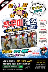 18일)쭈꾸미 출조모집 기본 80수 콕콕 사진