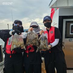 9월17일 목요일 쭈꾸미 사진