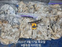 쭈갑조황 글만 보기 사진