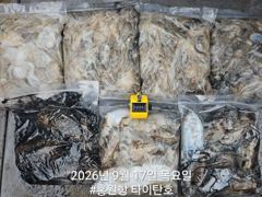 [쭈갑조황] [홍원항타이탄호] 9월17일(목) 쭈꾸미.갑오징어 조황입니다. 사진