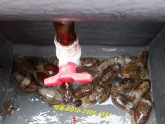 26년9월17일 조황 사진