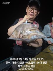 통영 금정호 문어선상 주말 정상출항합니다 자리여유있어요^^ 사진