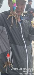 여수쭈꾸미 느나~느나~~ 사진