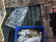 (南)남해조황 - 6시간야간문어조황 대박!!!! 사진