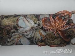 "돌문어"KKK외180수170수155수팍~팍~개인22수20수18수15수 전원마릿수 3자릿수조황~ 사진