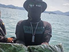 삼천포 광용호 쭈꾸미 조황입니다~!!